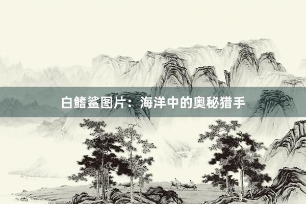 白鳍鲨图片:海洋中的奥秘猎手