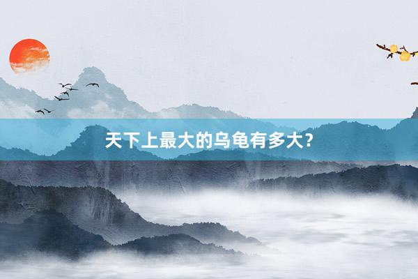 天下上最大的乌龟有多大？