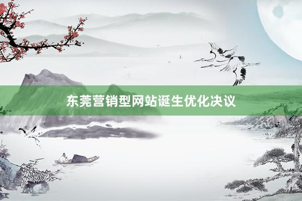 东莞营销型网站诞生优化决议