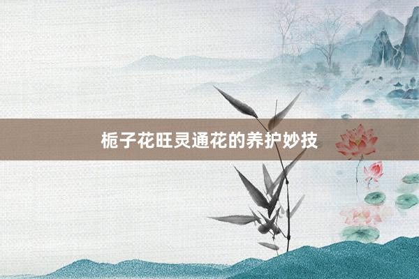 栀子花旺灵通花的养护妙技
