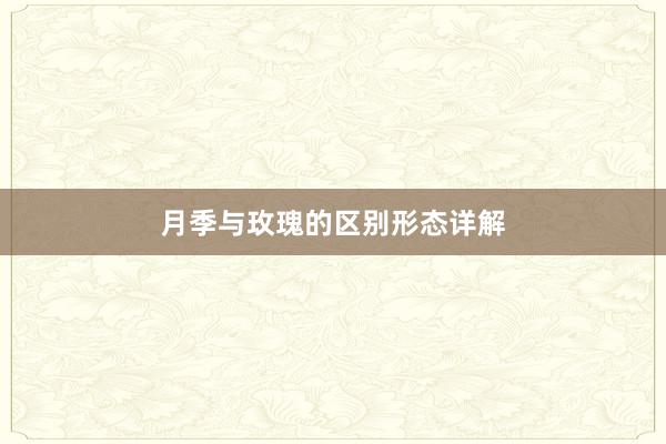 月季与玫瑰的区别形态详解