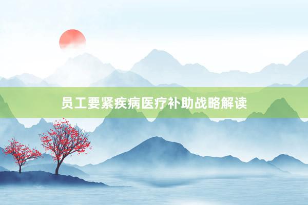 员工要紧疾病医疗补助战略解读