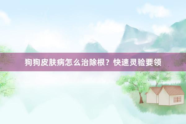 狗狗皮肤病怎么治除根?快速灵验要领