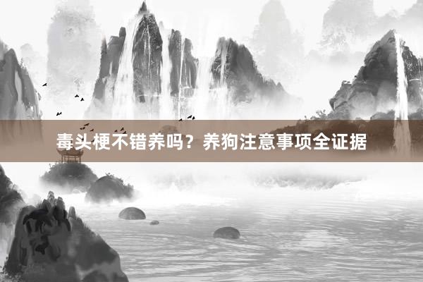 毒头梗不错养吗?养狗注意事项全证据